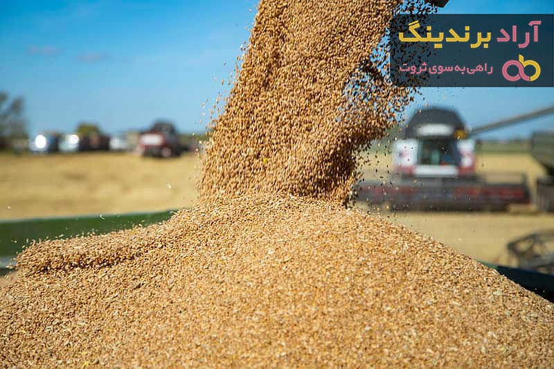 قیمت تفاله جو دام + پخش تولیدی عمده کارخانه