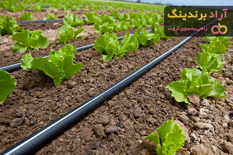 قیمت خرید سیستم آبیاری بابلر + تست کیفیت