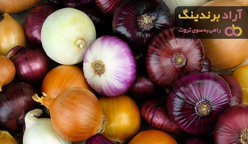خرید و قیمت روز پیاز صادراتی