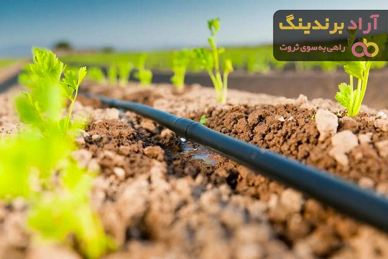 خرید سیستم آبیاری تحت فشار دریپر با قیمت استثنایی