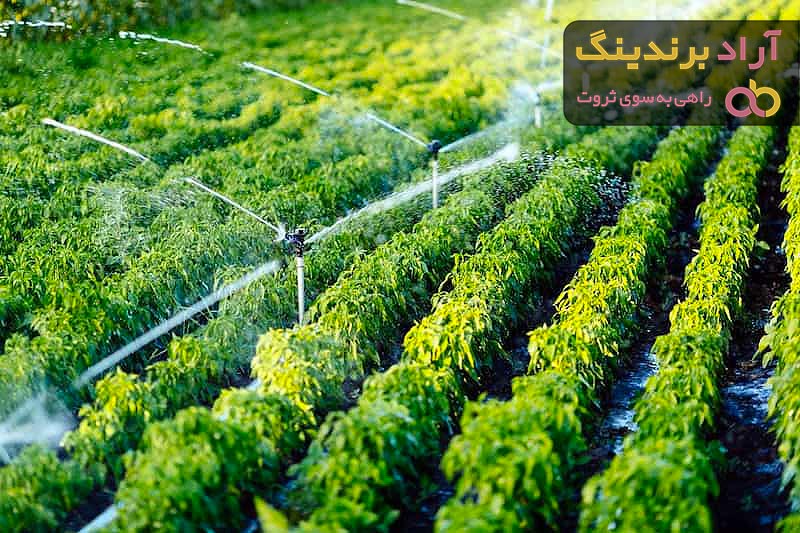 خرید انواع سیستم آبیاری تحت فشار + قیمت