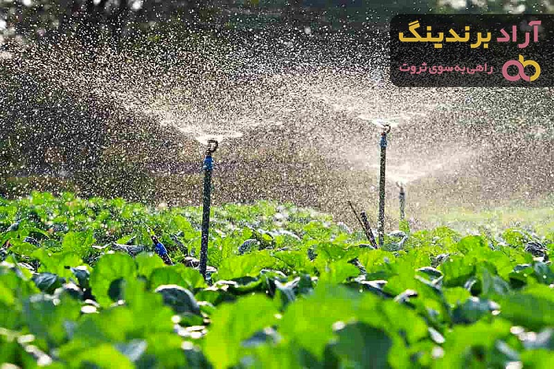 خرید سیستم آبیاری بارانی ثابت با قیمت استثنایی