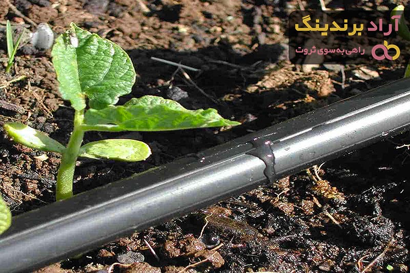 خرید و قیمت سیستم آبیاری قطره ای زمین شیب دار