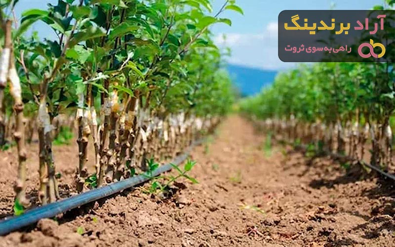 معرفی سیستم آبیاری صنعتی + بهترین قیمت خرید