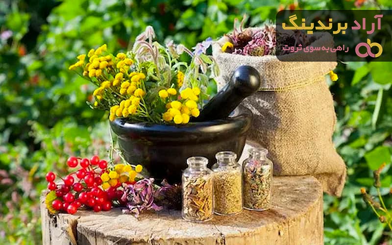 گیاهان دارویی کوهی + قیمت خرید، کاربرد، مصارف و خواص