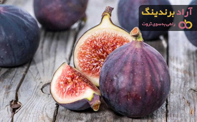 قیمت خرید انجیر جنگلی + فروش عالی