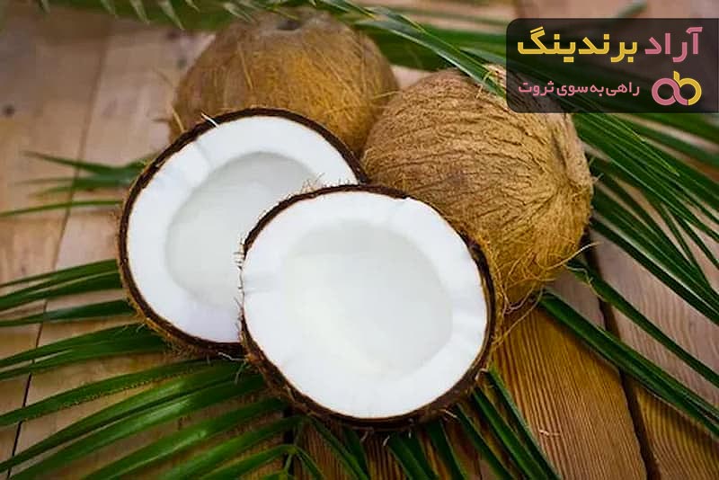 لیست قیمت نارگیل دی ۱۴۰۱