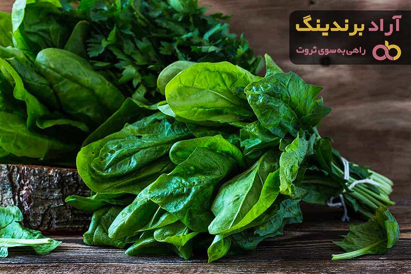 خرید اسفناج کوهی | فروش انواع اسفناج کوهی با قیمت مناسب