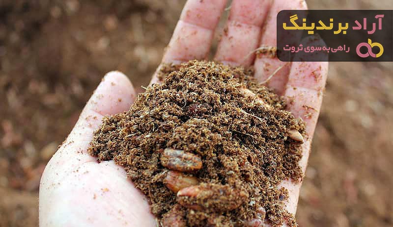 تفاله خرما در تغذیه دام | خرید با قیمت ارزان