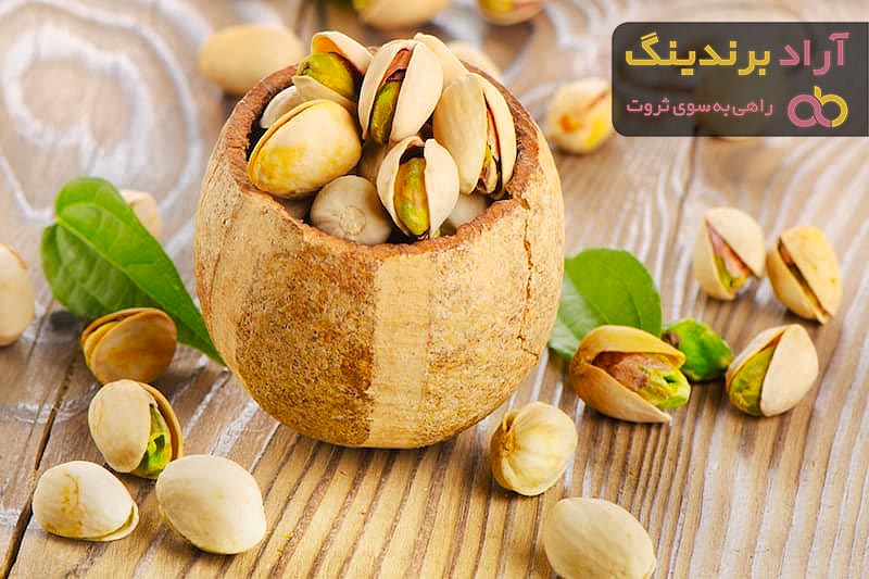 قیمت پسته پیوندی گلدانی + خرید
