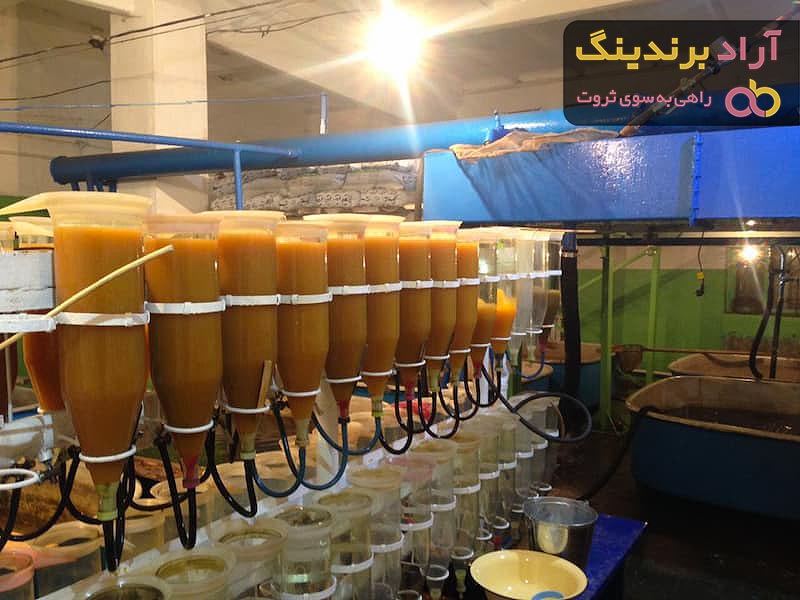 خرید و قیمت جدیدترین انواع انکوباتور