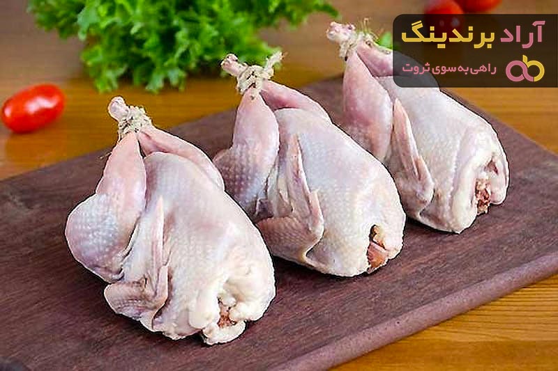 قیمت گوشت بلدرچین مشهد + خرید