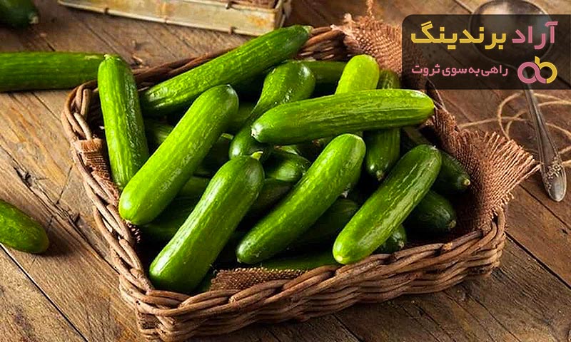 قیمت خیار گلخانه ای ناگین + خرید