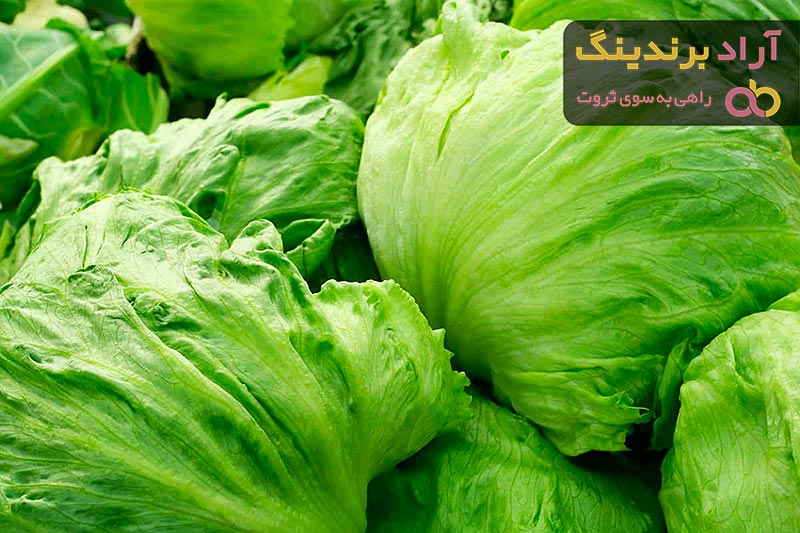 بهترین کاهو پیچ گرد + قیمت خرید عالی