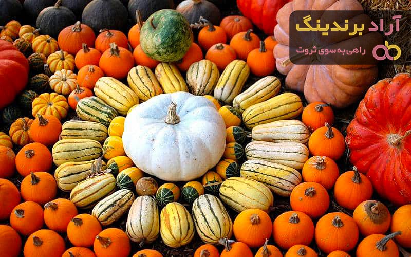 خرید کدو خام | فروش با قیمت مناسب