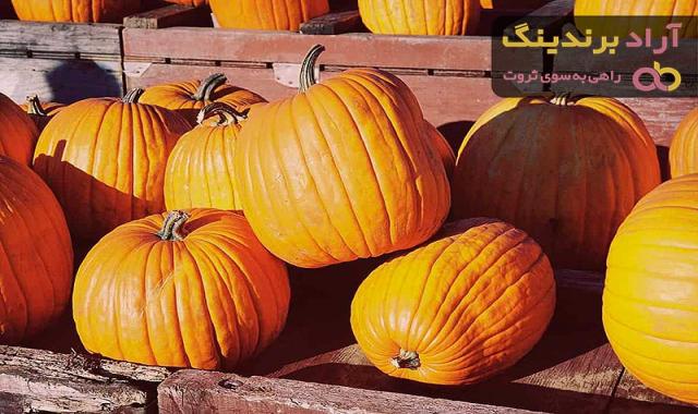خرید بهترین انواع کدو تنبل با قیمت ارزان