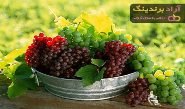 قیمت خرید انگور یاقوتی قرمز + فروش عالی