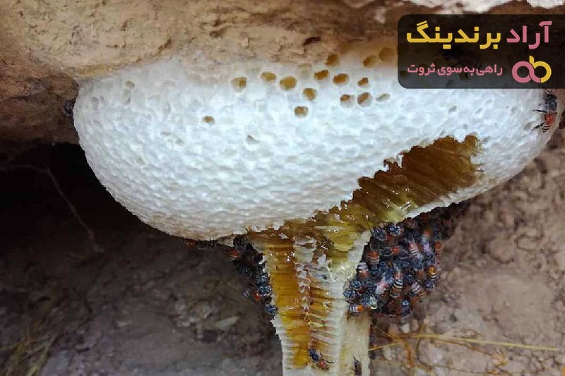 آیا عسل کوهی برای چشم خوب است؟