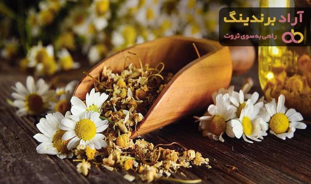 قیمت خرید بابونه خشک + فروش عالی