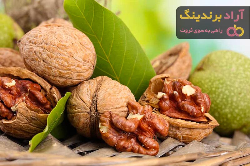 قیمت خرید گردو خشک + مزایا و معایب