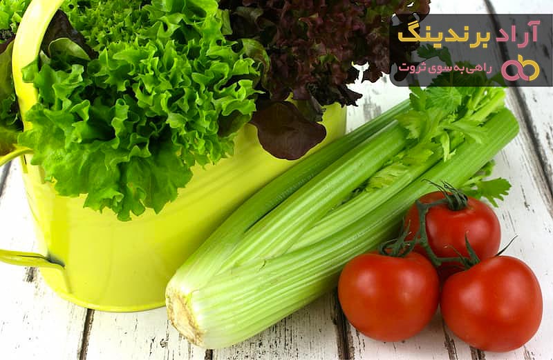 قیمت کرفس گلخانه ای + خرید و لیست قیمت روز کرفس گلخانه ای دی ۱۴۰۱