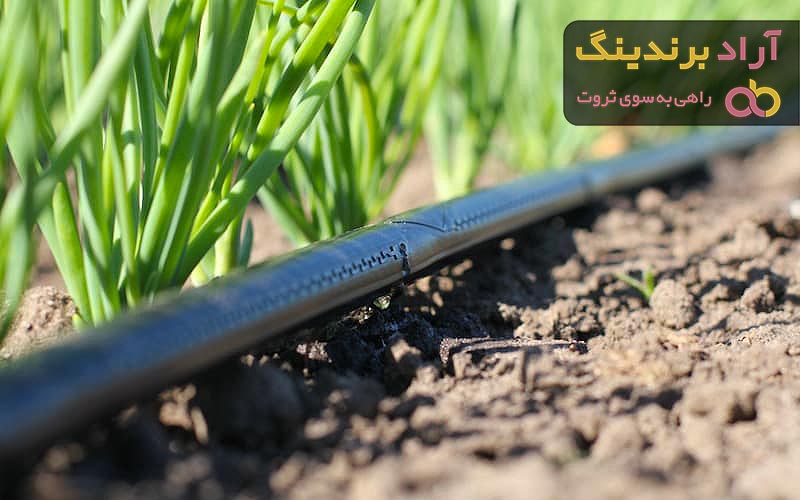 قیمت سیستم آبیاری زیر سطحی + خرید