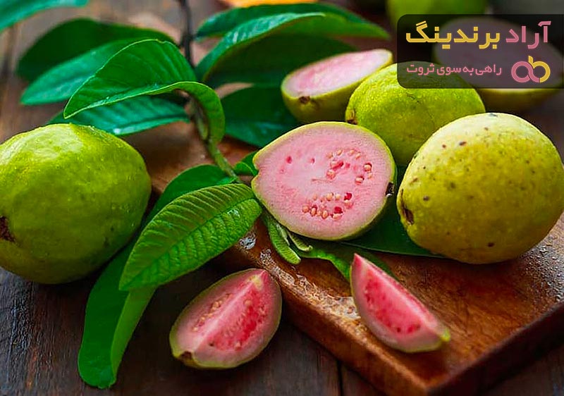 قیمت گواوا زرد گلابی + خرید