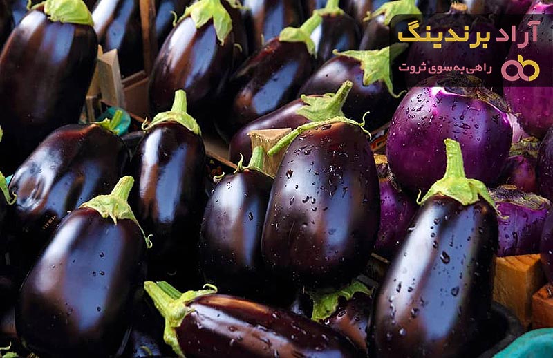 بادمجان چند روزه بار میدهد؟