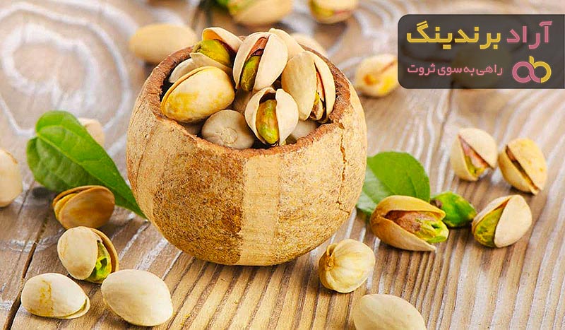 پسته فندقی چیست