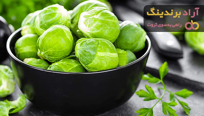 قیمت کلم بروکسل غذا + خرید