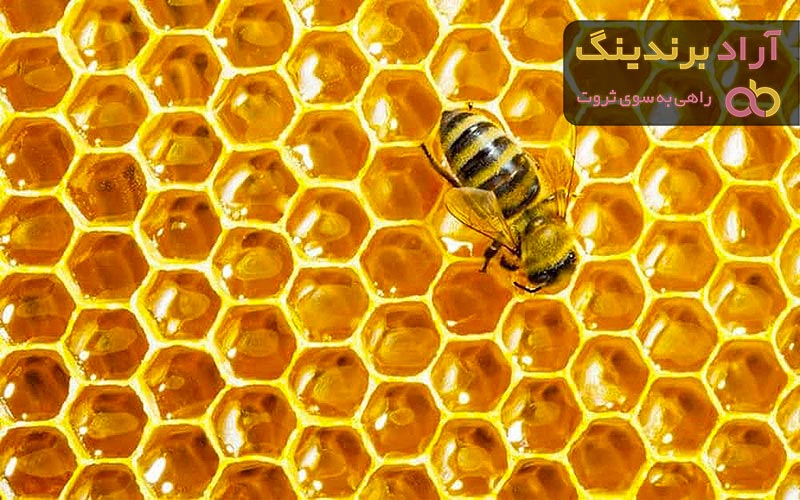 قیمت عسل وحشی سفید + خرید