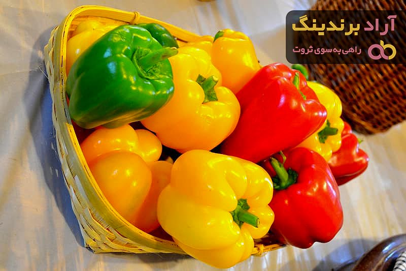 قیمت فلفل دلمه ای رنگی صادراتی