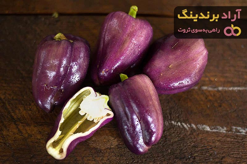 قیمت فلفل دلمه ای بنفش