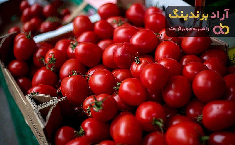 آیا گوجه گیلاسی تراریخته است
