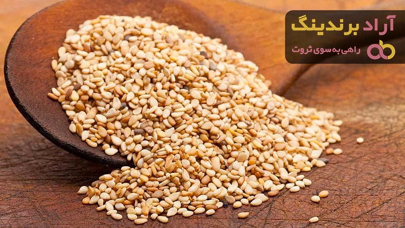 قیمت دانه کلزا ۱۴۰۱