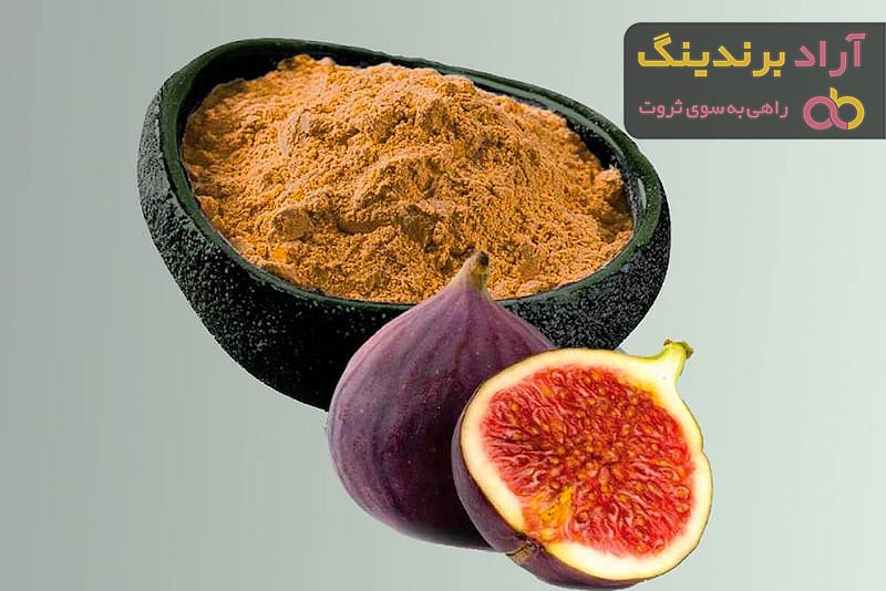 قیمت پودر انجیر کبابی