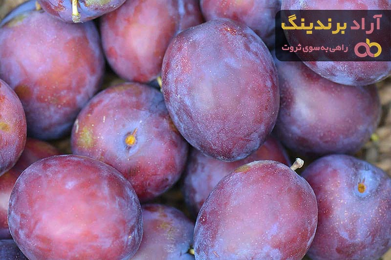 قیمت آلو برقانی تازه