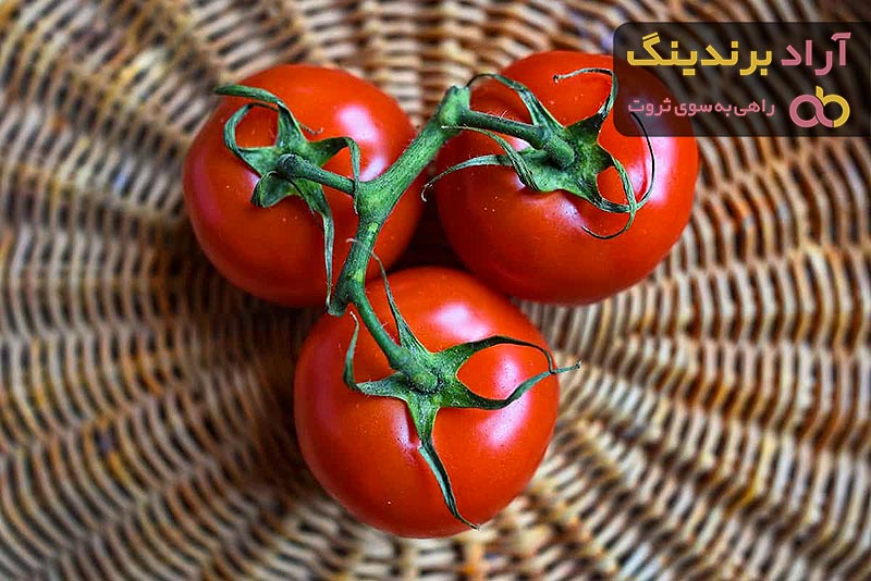 قیمت گوجه فرنگی برای رب