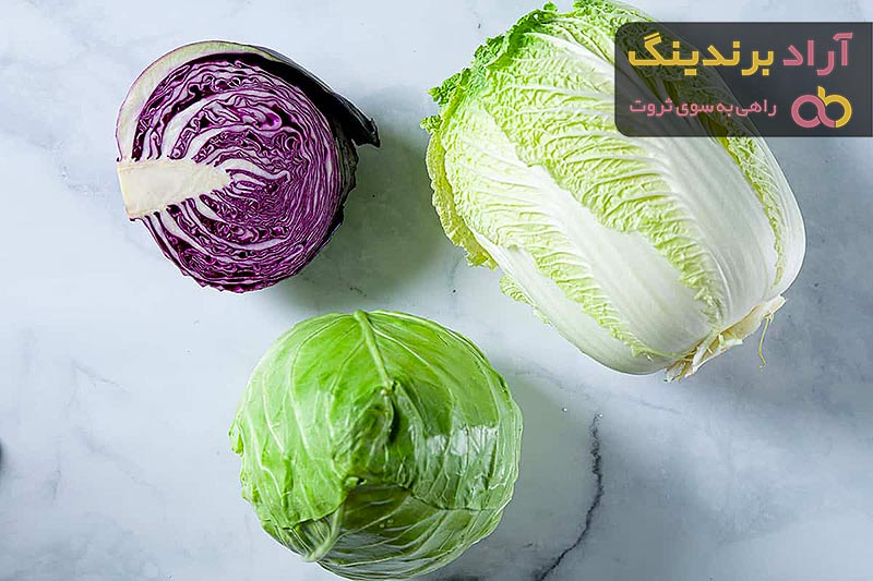 قیمت کلم سفید صادراتی