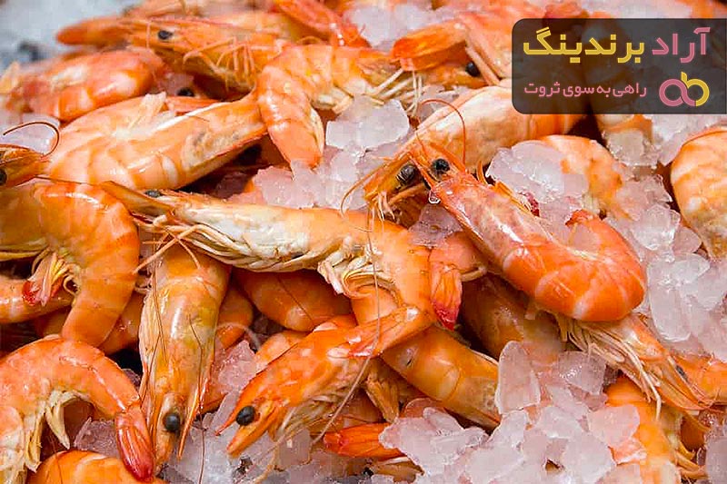 قیمت شاه میگو ببری