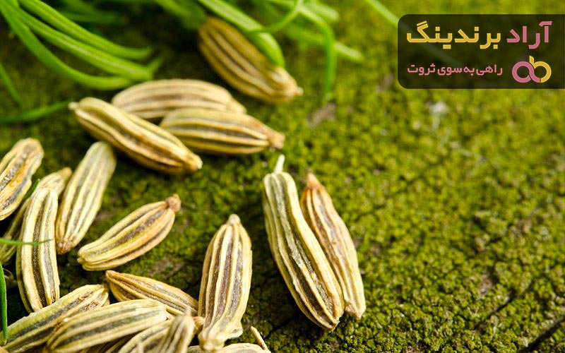 قیمت زیره سبز کاشمر
