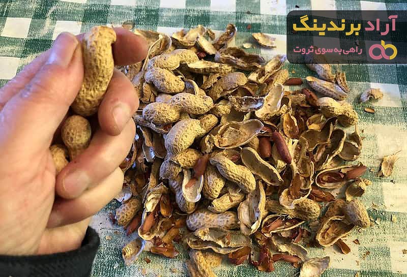 قیمت پوست بادام زمینی