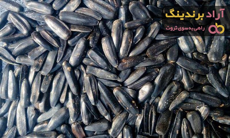 قیمت تخمه آفتابگردان قلمی