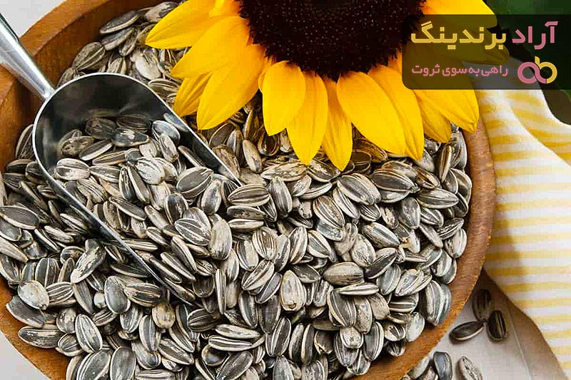 قیمت تخمه آفتابگردان اجیلی