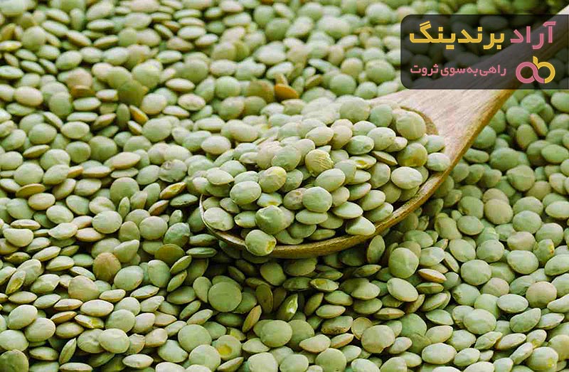 قیمت عدس سبز دانه