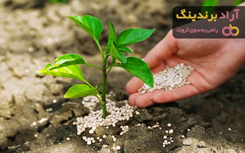 قیمت کود نیتروژن گوگردی
