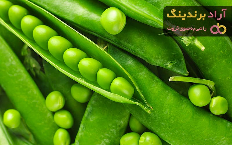 قیمت نخود فرنگی پاک نشده