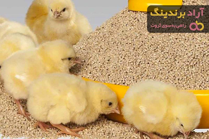 قیمت بنتونیت دامی