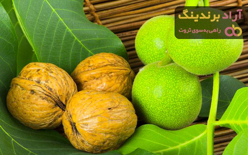 قیمت گردو سبز 1401