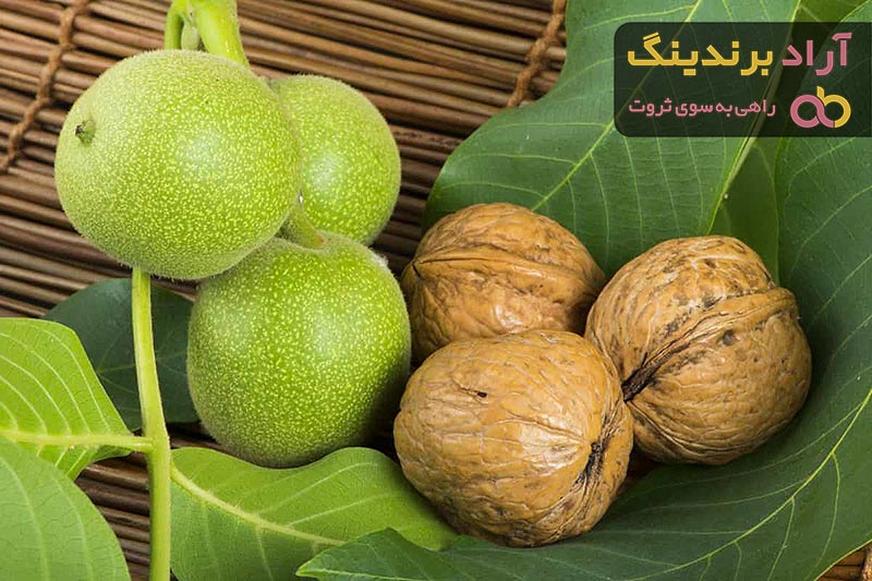 قیمت گردو گیلان